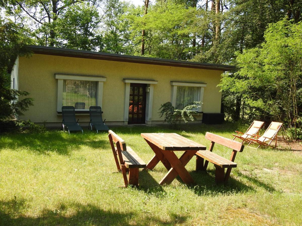 דירות באד סארואו Haus Waldfrieden מראה חיצוני תמונה