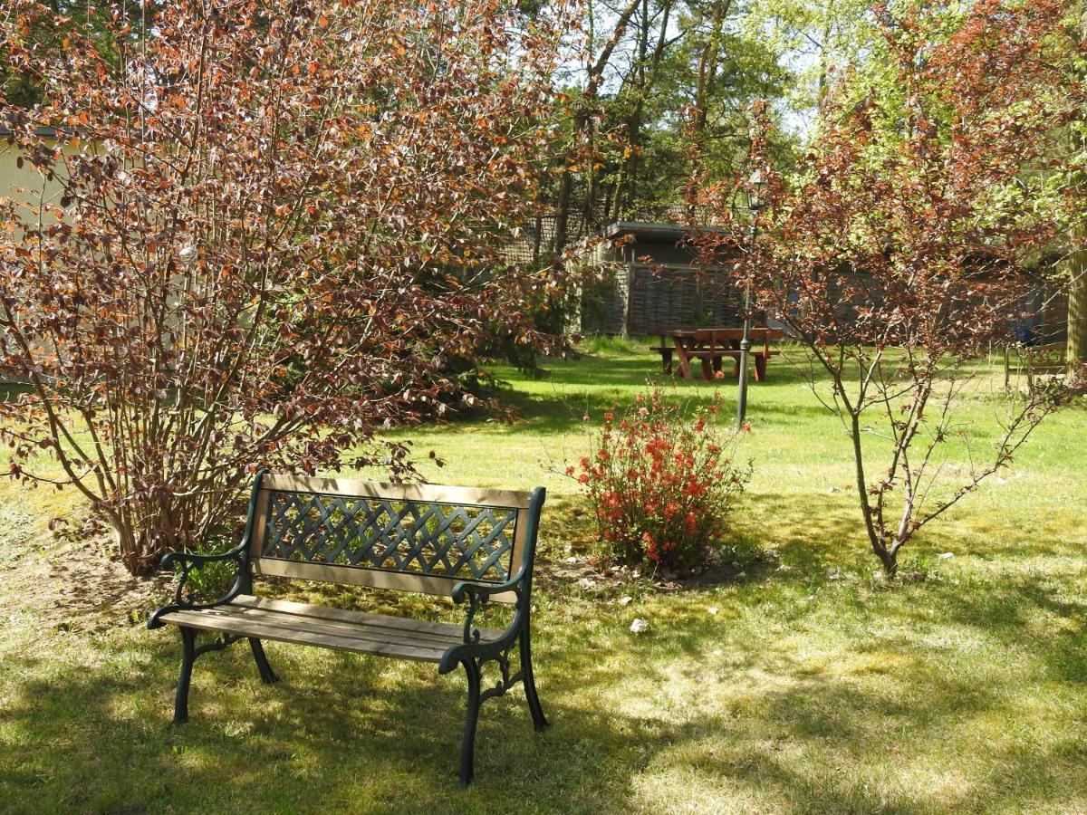 דירות באד סארואו Haus Waldfrieden מראה חיצוני תמונה